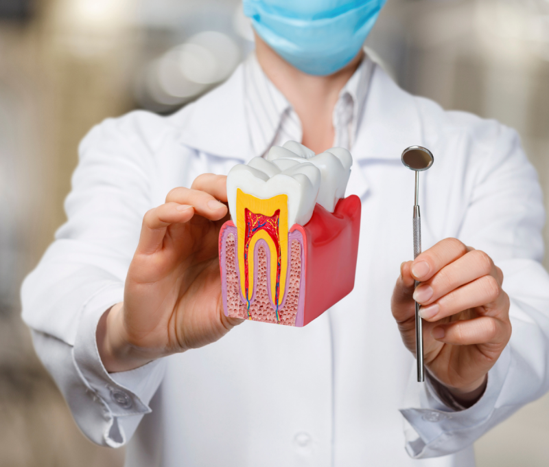 Modern Dental Clinic Interior